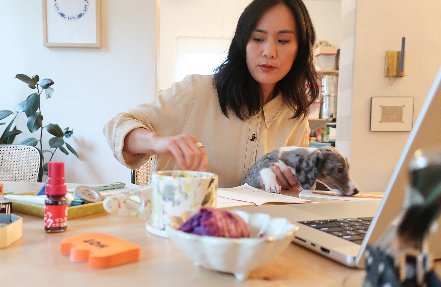 WORKING HANDS vol.16「ジョイス・チャイ」 - HIGHTIDE