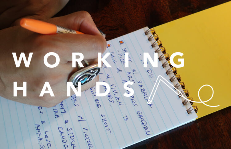 WORKING HANDS vol.24「チェリート・ヴィラフロー」のイメージ画像